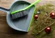Cum alegi bradul de Crăciun ca să reziste cât mai mult. Trucul simplu care îl păstrează verde până în noaptea de Anul Nou!