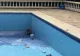 Durere mare în viața unei actrițe. A rămas fără soț după ce acesta a sărit într-o piscină înghețată