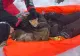 Un tânăr ucrainean a căzut într-o râpă în Munții Maramureșului. Salvamontiștii care l-au recuperat au spus că pisica lui i-a salvat viața