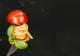 Cum se prepară cele mai delicioase spaghete de post. Sunt ușor picante! 