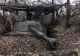 Acordul pentru minerale este prea puțin pentru ca Trump să reia ajutorul militar pentru Ucraina