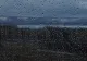 Alertă ANM în România: Cod portocaliu și galben în 20 de județe, inclusiv în București