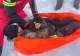 Zeci de persoane au fost rănite pe munte. Salvamontiștii au salvat mai multe vieți în ultimele 24 de ore