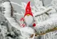 Fenomene ciudate ale vremii la mijloc de decembrie: lapoviță și ninsori în unele zone, în altele se ating temperaturi de 21 de grade Celsius