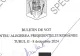 Cum arată BULETINUL de vot pentru finala prezidențială din 8 decembrie, între Georgescu și Lasconi. BEC a aprobat macheta -DOCUMENT