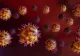 Un nou VIRUS amenință omenirea. Pandemia care este pe cale să izbucnească