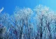 Cum va fi vremea de Revelion? Surprize meteorologice în primele zile din 2025