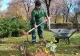 Totul Verde, realizări remarcabile în 2024 - FOTO