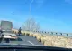 Circulația pe podul de la Cernavodă, blocată de o turmă de oi - FOTO