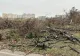 Parcul IOR, devastat: sute de copaci au fost tăiați. Peisaj dezolant lăsat în urmă