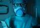 Un VIRUS care face ravagii în China, pe cale să ajungă în România. Ce spun experții