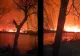 Delta Dunării, în flăcări. Incendiul de vegetație a pornit din zona localităţii Sulina și s-a dezvoltat cu repeziciune