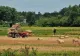 Ajutor de la stat pentru motorina din agricultură. Vești bune pentru fermieri
