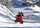 Tânără de 24 de ani, rănită la săniuș. Fata s-a lovit la cap după ce a căzut de pe sanie, în zona Bâlea Lac