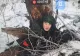 Surprizele ucrainenilor când au tradus jurnalul militarului nord-coreean ucis în Kursk. „Am băgat ceva în buzunar ce aparținea rușilor”