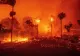 Stare de urgență în Los Angeles, după un incendiu violent într-un cartier de lux: 30.000 de persoane au fost evacuate - VIDEO