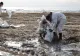 Pata de petrol scursă în Marea Neagră a ajuns și pe coasta Mării Azov, în Ucraina. Dezastrul ecologic se amplifică