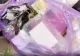 România, campioană la RISIPA ALIMENTARĂ. Tone de mâncare aruncate după sărbători