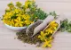 Ceaiul care se bea când te simți extenuat fizic și psihic. Recomandat de fitoterapeuți pentru că redă starea de bunădispoziție