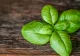 Când este recomandat să bei ceai de busuioc și ce afecțiuni tratează această plantă sfântă? Trebuie să îl ai permanent în casă