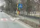 A fost descoperit proprietarul CANGURULULUI alb surprins pe străzile Bucureștiului. Polițiștii au avut o mare surpriză - VIDEO