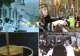 Cafeneau care păstrează tradițiile insulei Ada Kaleh, inclusă pe lista cafenelelor istorice din Europa