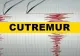  Cutremur sâmbătă dimineața în Banat. INFP anunță activitate seismică intensă - nu mai puțin de nouă seisme de la începutul lunii aprilie