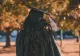 Cea mai dorită facultate din România: 61 de candidați pe un singur loc la admiterea din 2024