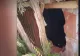 Mai multe morminte au fost profanate: hoții au fugit cu mii de lei din sicrie