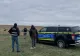 Caz șocant într-o comună din Botoșani. Câini fără stăpân, împușcați ziua în amiaza mare. Politia face o anchetă, ordinul a fost dat chiar de primar
