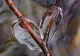 Prognoza meteo 14 februarie. Vremea schimbă foaia de Valentine's Day. Ce temperaturi se vor înregistra asăzi