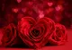 Ce preț are un buchet de trandafiri în prezent? Sumele cresc vertiginos înainte de Valentine's Day