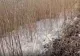 Lacul Siutghiol, acoperit de spumă albă: ce spun localnicii
