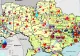 Ce înseamnă Ucraina ca pradă de război. Resursele naturale extraordinare aflate pe masa negocierilor SUA-Rusia 