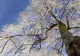 Crăciun cu zăpadă. Meteorologii de la ANM anunță ninsori abundente
