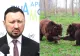 Ministrul Mediului, mesaj după atacul ursului din Predeal asupra șefului Salvamont: „Să împuşcăm şi acei urşi în creierii munţilor, acei urşi care poate nu s-au întâlnit cu omul niciodată în viaţa lor”