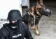 Noi percheziții la mercenari: acțiuni împotriva ordinii constituționale și instigare publică