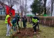 Numărul copacilor din Sectorul 4 se triplează! 