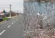 Val de accidente pe drumurile din țară. Cinci persoane rănite după un accident cu trei mașini în Buzău. Un autoturism a plonjat în râul Sebeș