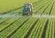 Planta minune care le umple buzunarele agriculorilor români. Este o adevărată mină de aur