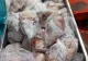 Alertă la nivel național! Carne de porc infestată și conserve de pui neconforme descoperite la un producător din Ilfov