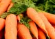 Când trebuie să cultivi morcovii dacă vrei să ai parte de o recoltă bogată. Secretul legumicultorilor a ieșit la iveală 