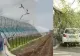 VIDEO. România, devastată de furtuni. Acoperișuri smulse și sere distruse. Copaci prăbușiți peste mașini. Autoritățile avertizează populația să se protejeze  