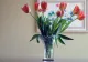 Ce temperatură trebuie să aibă apa atunci când pui florile în vază. Secretul florăreselor a ieșit la iveală