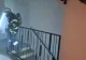 Panică într-un bloc din Timișoara. Zeci de persoane au fost evacuate, după ce un incendiu a izbucnit la subsol