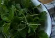 Crema de urzici. O mâncare de sezon plină de vitamine. Se recomandă să se consume la începutul primăverii