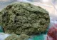 Surpriză pentru un moldovean din Italia: a primit un colet cu 9 kg de marijuana venit din Spania