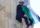 Incidente în apropierea Buckingham Palace. Un bărbat a urcat pe celebrul Big Ben cu un steag palestinian în mână VIDEO