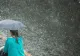 Vremea 29 martie. Val de frig peste România: în majoritatea regiunilor țării plouă și vântul bate puternic
