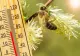 Vremea 20 martie. Temperaturile cresc în toată țara: unde va fi cel mai cald astăzi